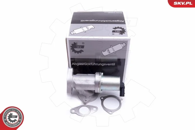EGR ventil ESEN SKV 14SKV209