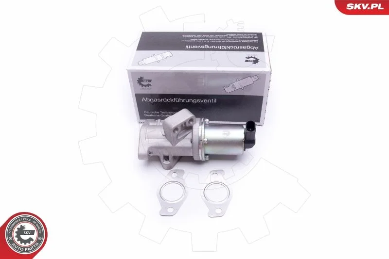 EGR Valve ESEN SKV 14SKV212
