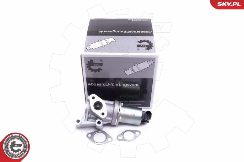 EGR ventil ESEN SKV 14SKV213