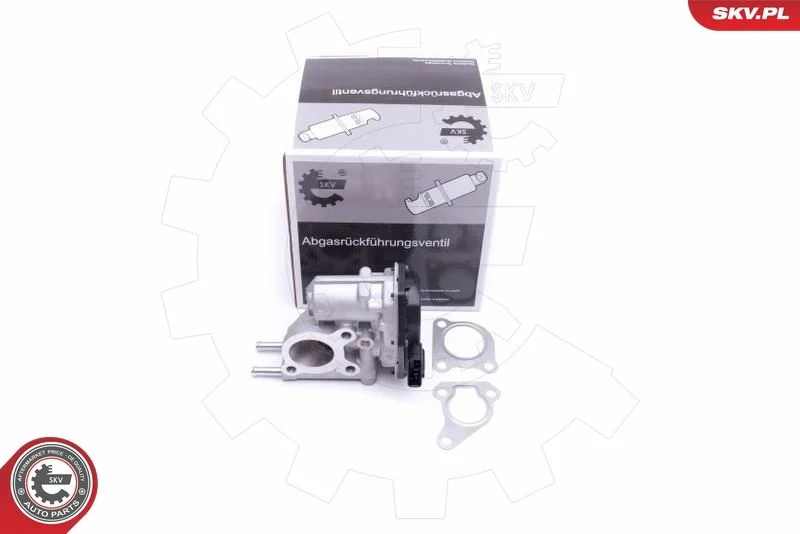 EGR ventil ESEN SKV 14SKV215