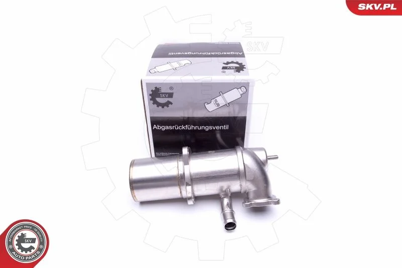 EGR Valve ESEN SKV 14SKV222