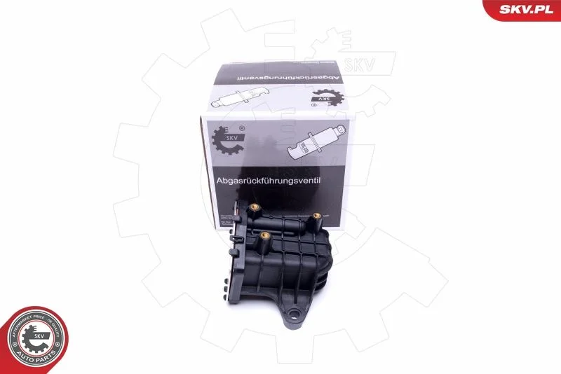 EGR Valve ESEN SKV 14SKV231