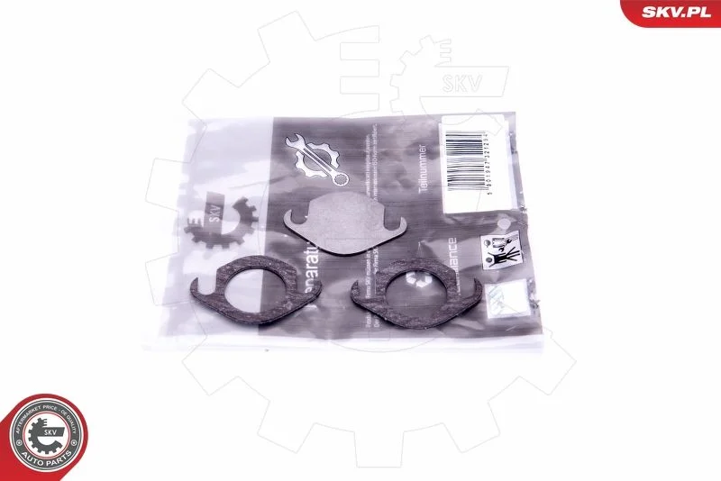 Repair Set, EGR valve ESEN SKV 14SKV506
