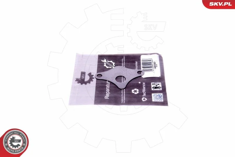 Repair Set, EGR valve ESEN SKV 14SKV521