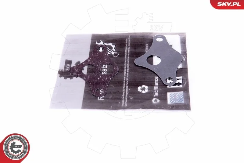 Repair Set, EGR valve ESEN SKV 14SKV522