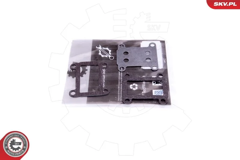 Repair Set, EGR valve ESEN SKV 14SKV524