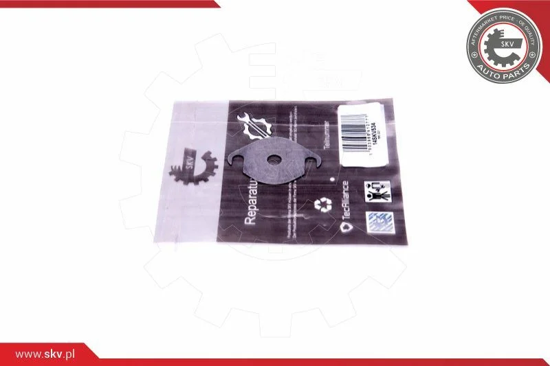 Repair Set, EGR valve ESEN SKV 14SKV534