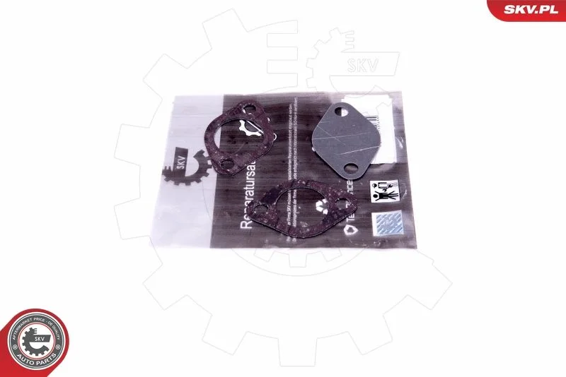 Repair Set, EGR valve ESEN SKV 14SKV550