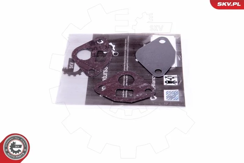 Repair Set, EGR valve ESEN SKV 14SKV553