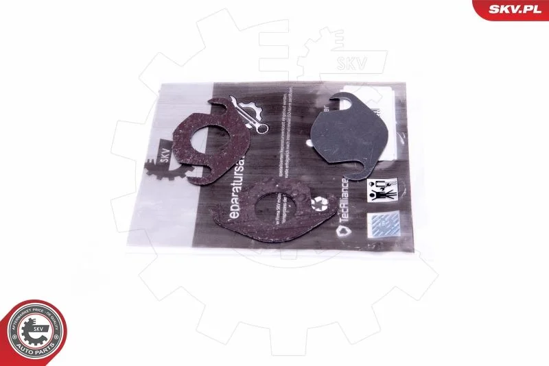 Repair Set, EGR valve ESEN SKV 14SKV557