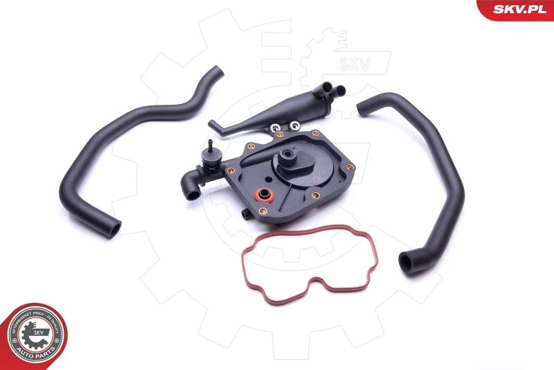 Repair Kit, crankcase ventilation ESEN SKV 31SKV100