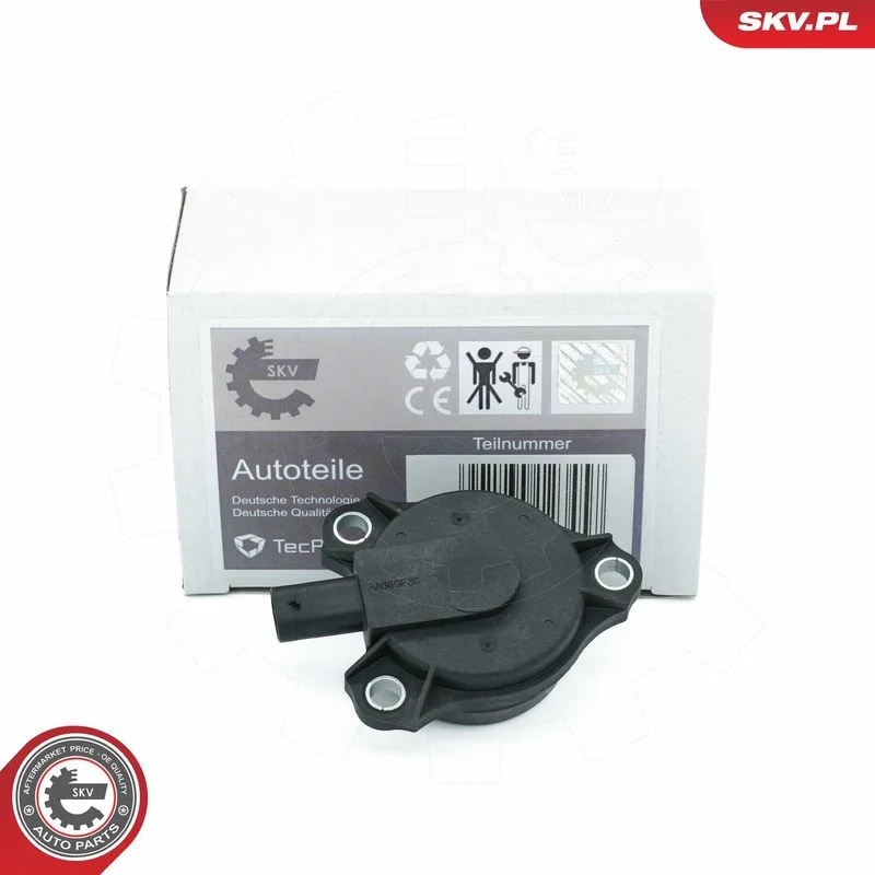 Central Magnet, camshaft adjustment ESEN SKV 39SKV903
