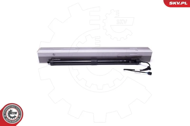 Elektromotor, zadné dvere ESEN SKV 52SKV900