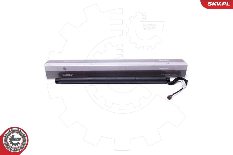 Elektromotor, zadné dvere ESEN SKV 52SKV904