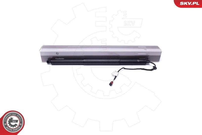 Elektromotor, zadné dvere ESEN SKV 52SKV907