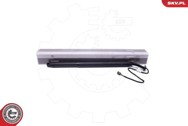 Elektromotor, zadné dvere ESEN SKV 52SKV911