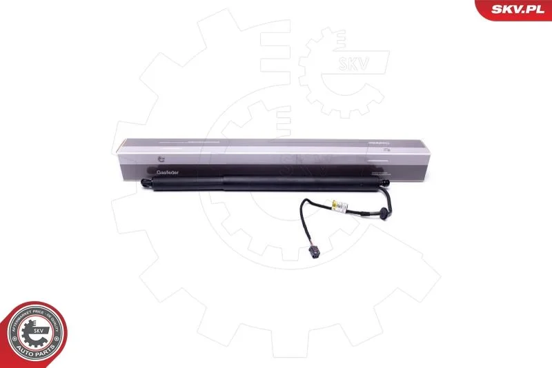 Elektromotor, zadné dvere ESEN SKV 52SKV917