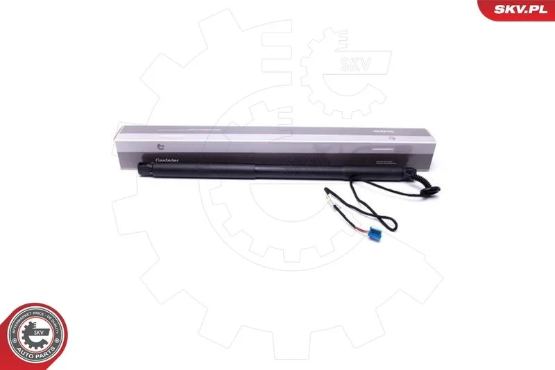 Elektromotor, zadné dvere ESEN SKV 52SKV922