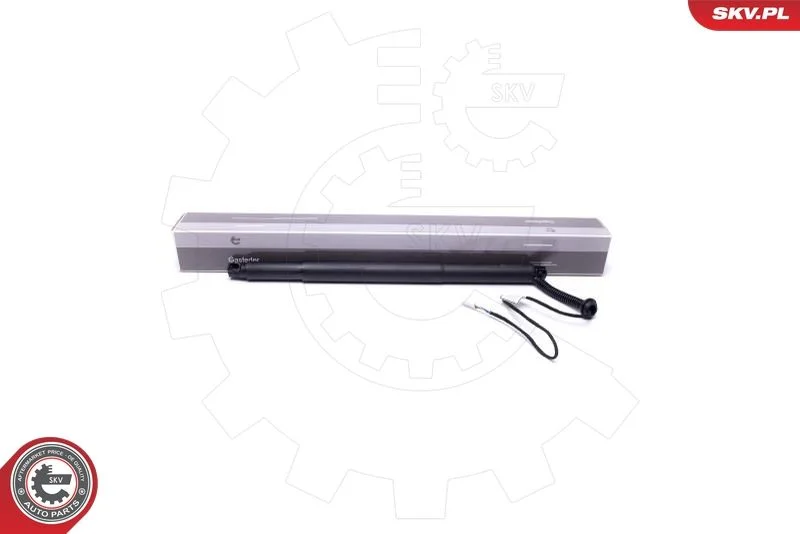 Electric Motor, tailgate ESEN SKV 52SKV924