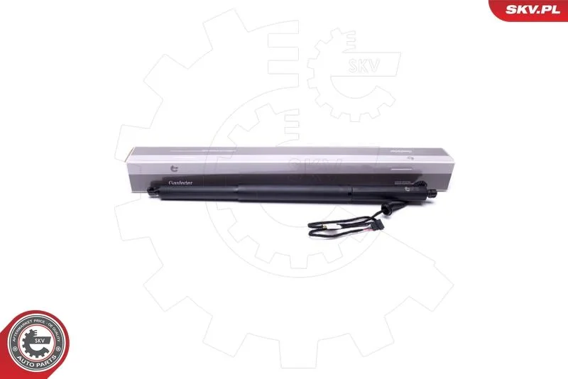 Elektromotor, zadné dvere ESEN SKV 52SKV929