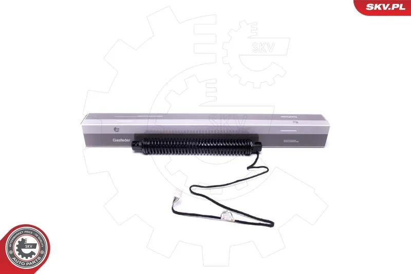 Elektromotor, zadné dvere ESEN SKV 52SKV934
