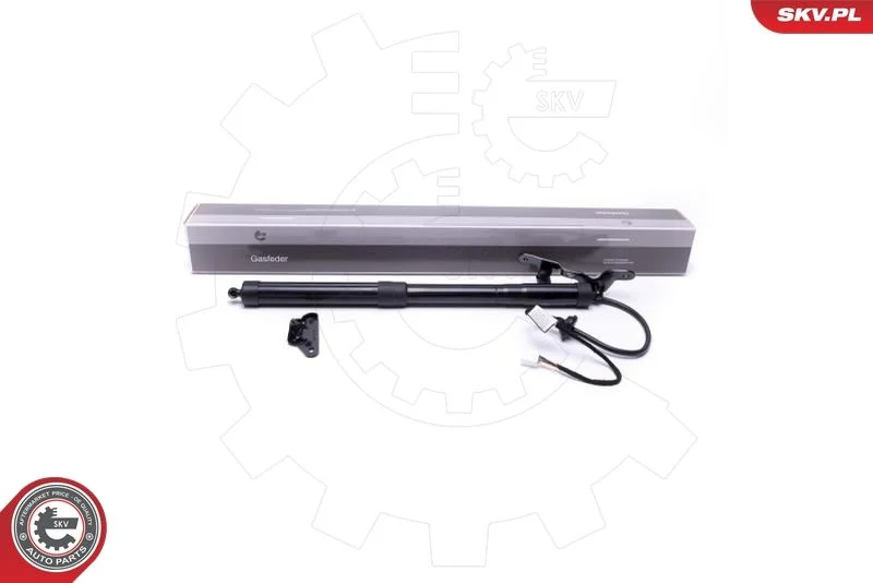 Elektromotor, zadné dvere ESEN SKV 52SKV938