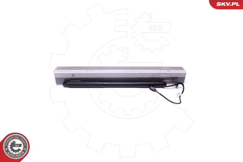 Elektromotor, zadné dvere ESEN SKV 52SKV939