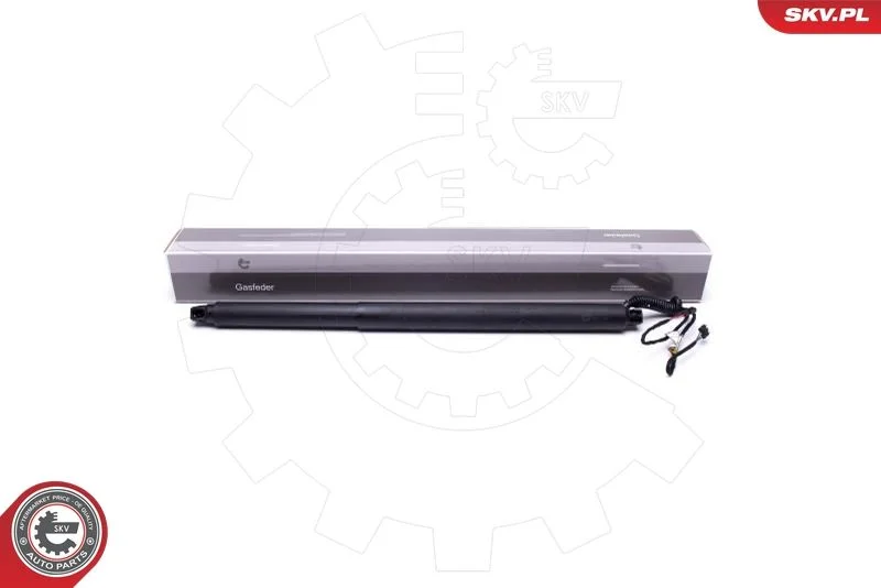 Elektromotor, zadné dvere ESEN SKV 52SKV941
