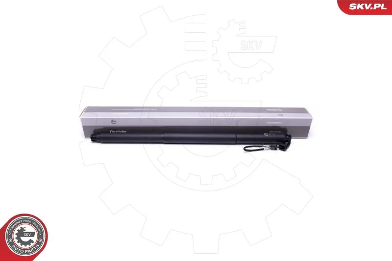 Elektromotor, zadné dvere ESEN SKV 52SKV943