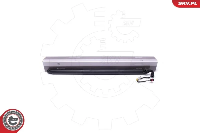 Elektromotor, zadné dvere ESEN SKV 52SKV944