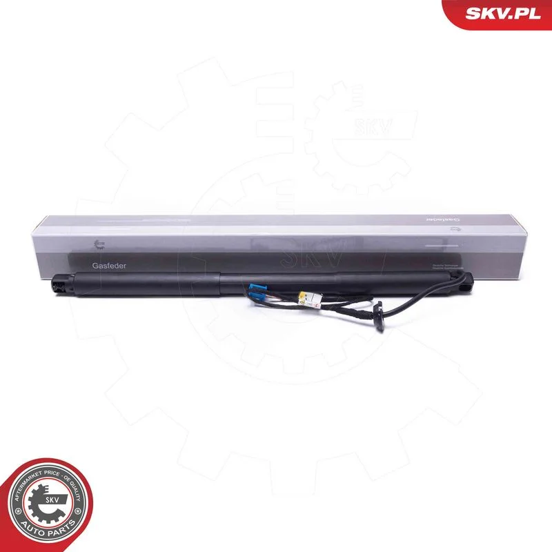 Elektromotor, zadné dvere ESEN SKV 52SKV958