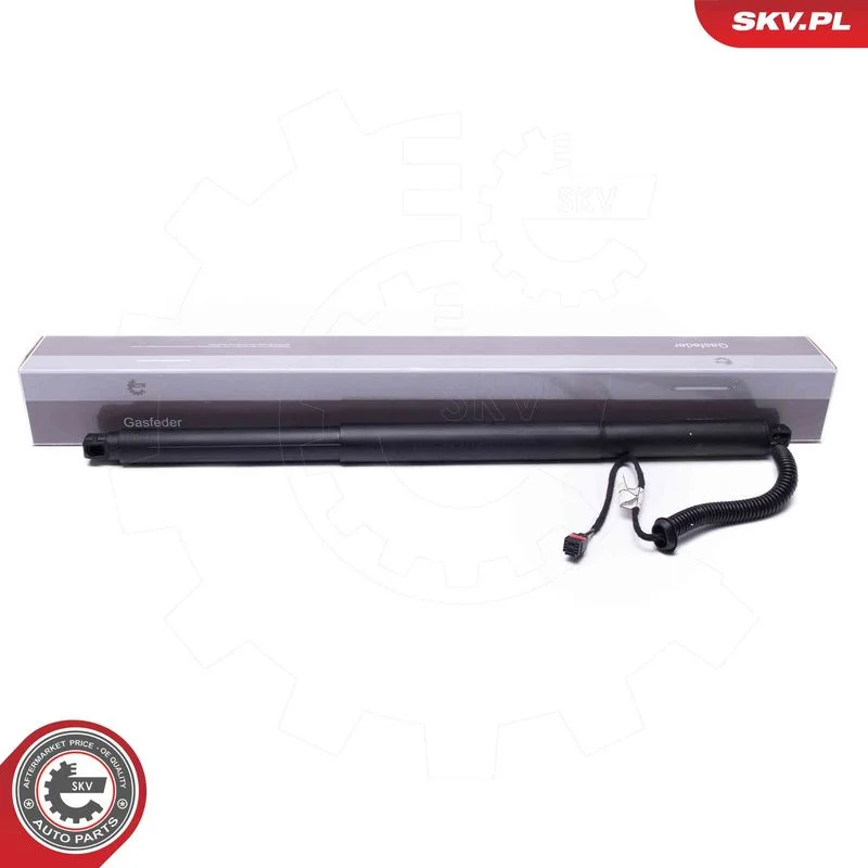 Elektromotor, zadné dvere ESEN SKV 52SKV959