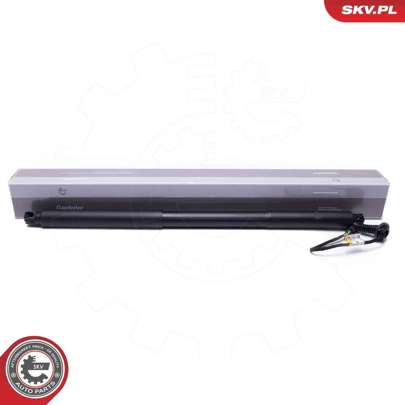 Electric Motor, tailgate ESEN SKV 52SKV968