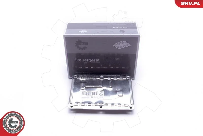 Control Unit, lights ESEN SKV 59SKV022