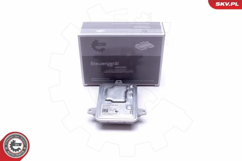 Control Unit, lights ESEN SKV 59SKV054