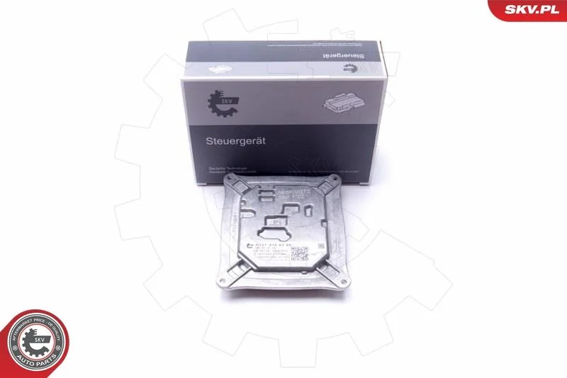 Control Unit, lights ESEN SKV 59SKV072
