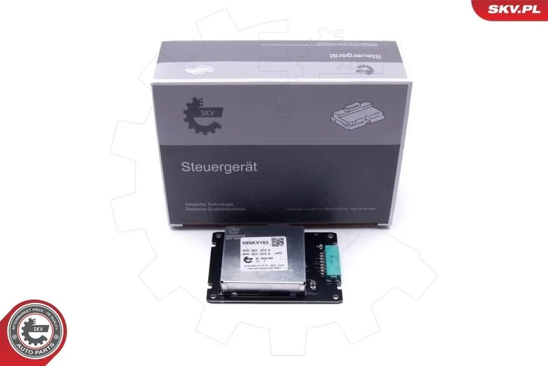 Control Unit, lights ESEN SKV 59SKV163