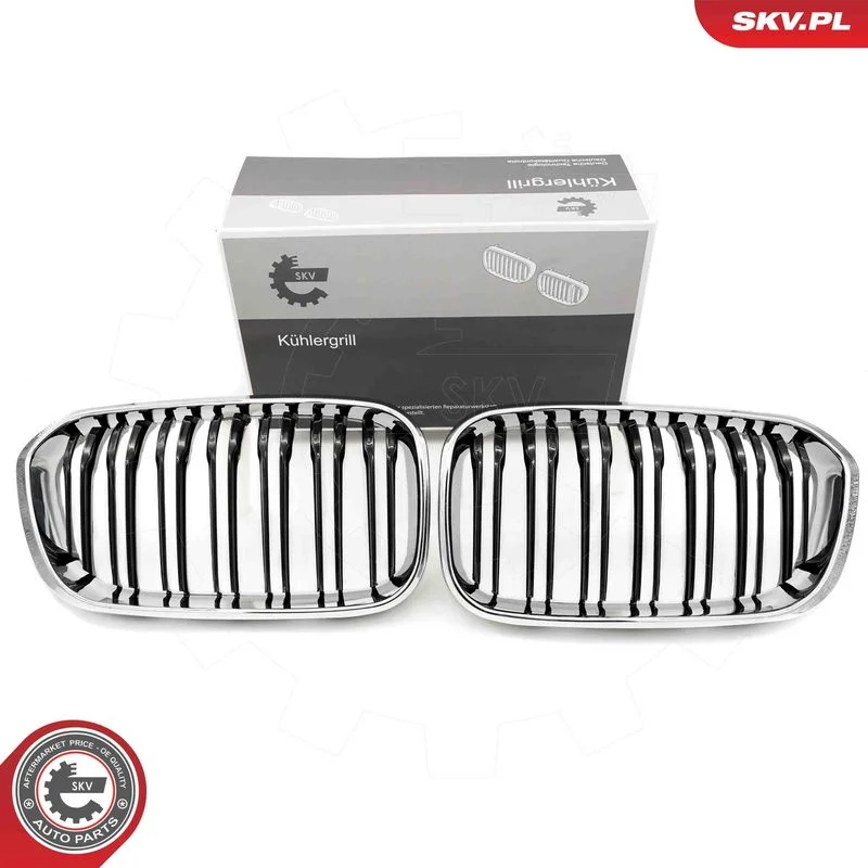 Radiator Grille ESEN SKV 66SKV023