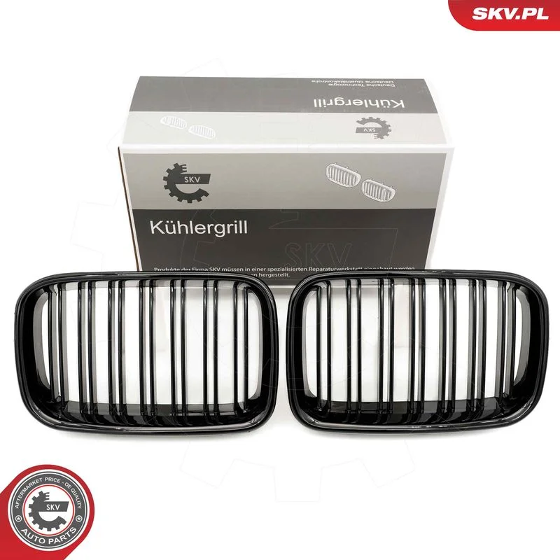 Radiator Grille ESEN SKV 66SKV047