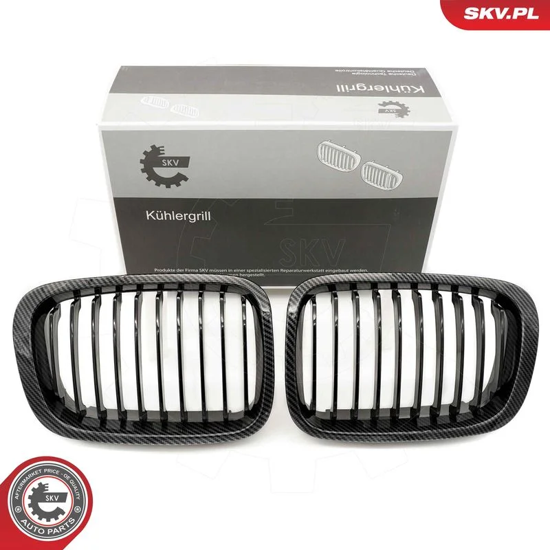 Radiator Grille ESEN SKV 66SKV065