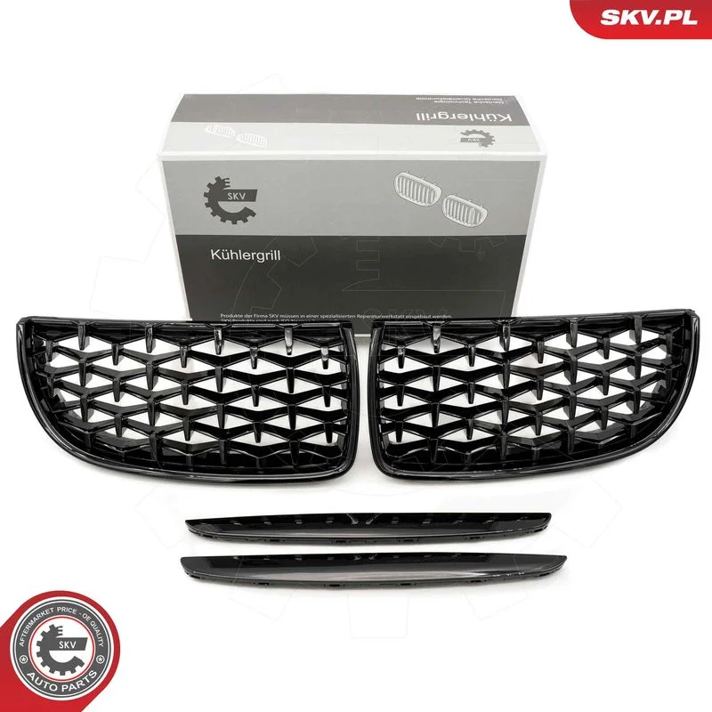 Radiator Grille ESEN SKV 66SKV093