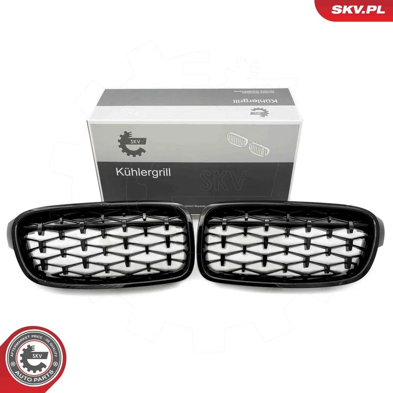 Radiator Grille ESEN SKV 66SKV128