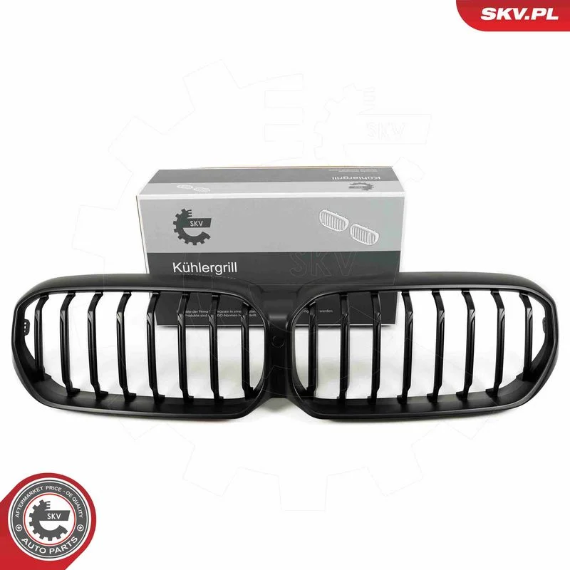 Radiator Grille ESEN SKV 66SKV202