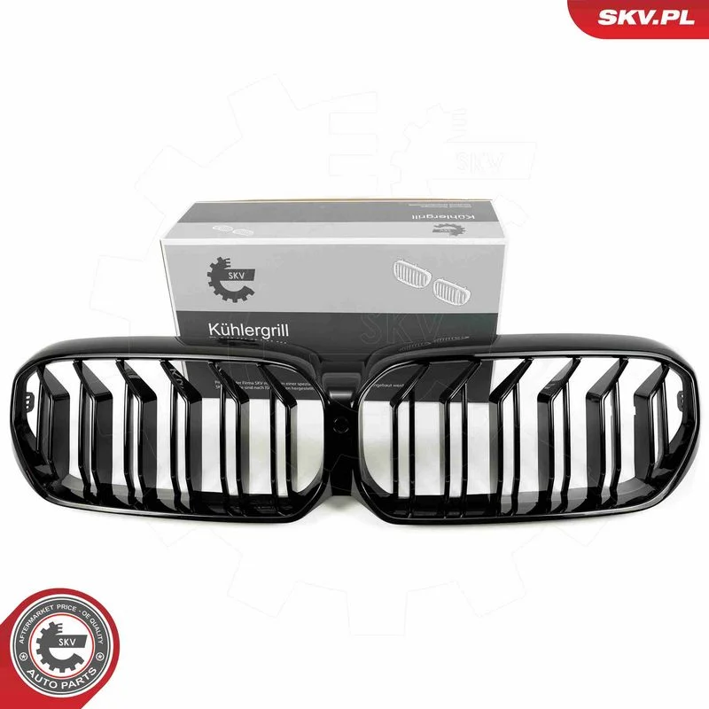 Radiator Grille ESEN SKV 66SKV203