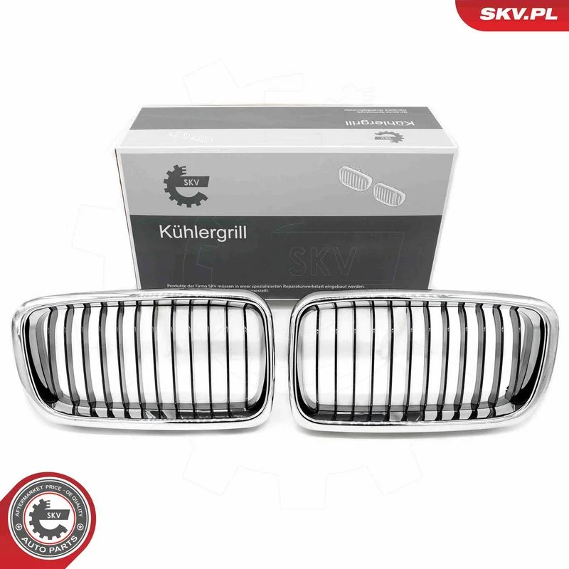 Radiator Grille ESEN SKV 66SKV214