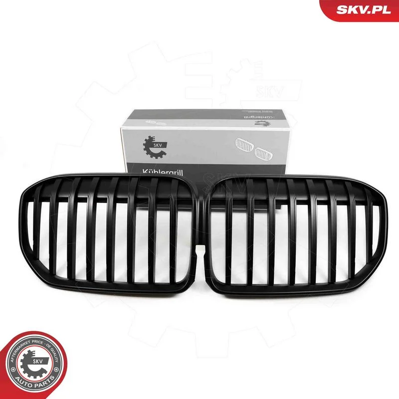 Radiator Grille ESEN SKV 66SKV225
