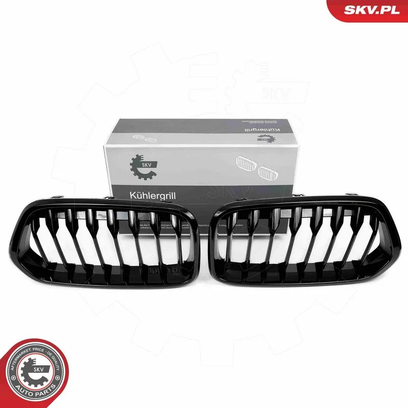 Radiator Grille ESEN SKV 66SKV245