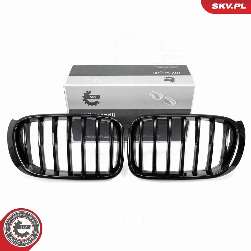 Radiator Grille ESEN SKV 66SKV254