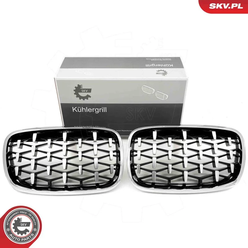 Radiator Grille ESEN SKV 66SKV293