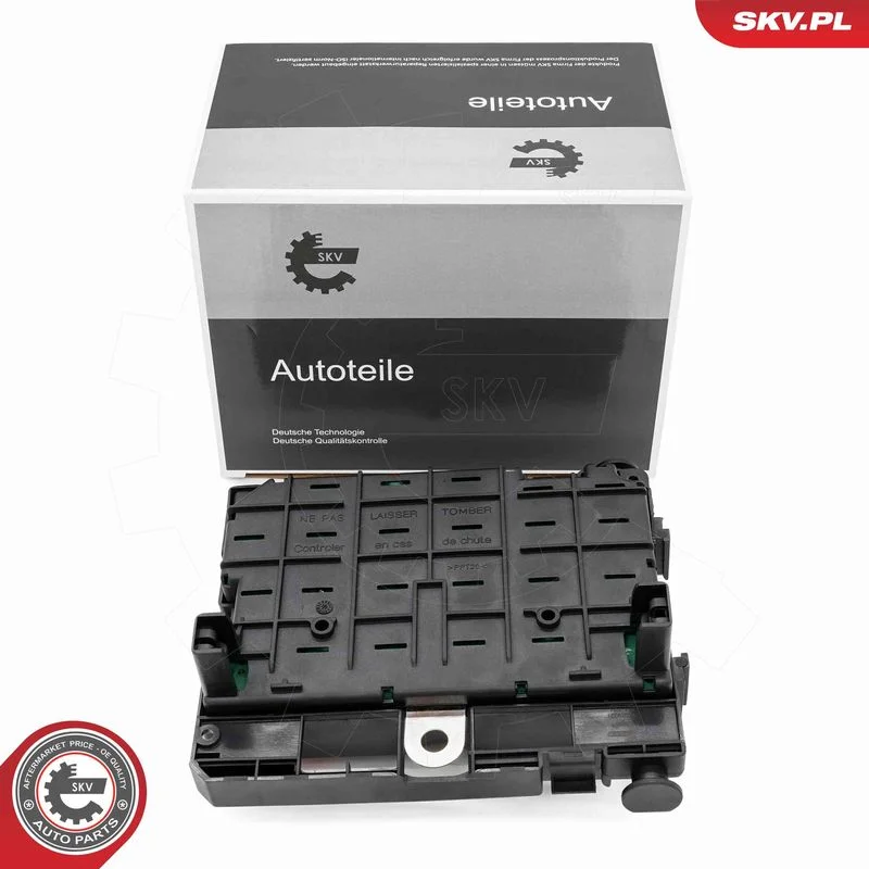 Control Unit, engine management ESEN SKV 96SKV321